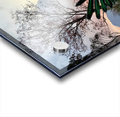 IMG 0496 Acrylic print