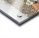 IMG 8818 Acrylic print