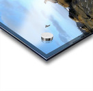 Seal Bird Watching 2 Impression Acrylique