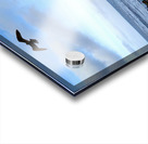 Seal Bird Watching 3 Acrylic print