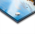 Seal Bird Watching Acrylic print