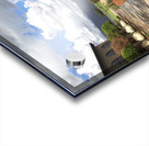 Out of Africa 1 Impression Acrylique