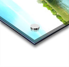 MI Swan Lake 2 Acrylic print