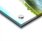 MI Swan Lake Acrylic print