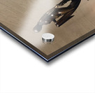 Museum Reflections 3 Acrylic print