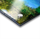 Pond Do 2 Acrylic print