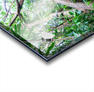 Branches of Life Acrylic print