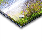 Falling for Colors Acrylic print