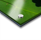 Blooms of Joy 2 Impression Acrylique