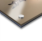 Museum Reflections 4C Acrylic print