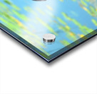 Praying for a Miracle Acrylic print