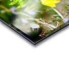 To Bee or Not to Bee  4 Impression Acrylique