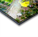 To Bee or Not to Bee  -- Checking Under The Hood Impression Acrylique