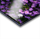 Flower Bloom 6 Impression Acrylique