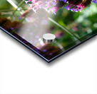 Cluster of Miniature Flowers Acrylic print