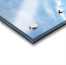 Eiffel Tower 1 Acrylic print