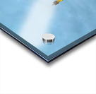 Eiffel Tower at Night 1 Acrylic print