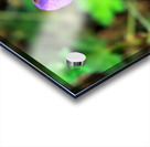 Flower Bloom 8 Acrylic print