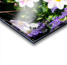 Blushing Petals 2B Acrylic print