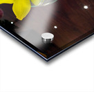 Glass Bloom 2B Acrylic print