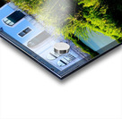 Ducking the Tourists Impression Acrylique