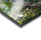 Just Rocking Life  Impression Acrylique