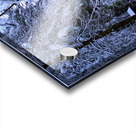 Winter Wonderland 2 Acrylic print