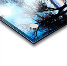 Winterscape 2 Impression Acrylique