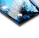 Winterscape 2B Impression Acrylique