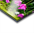 Tulips Singing to the Sun Impression Acrylique