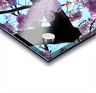 Cherry Blossom  Acrylic print