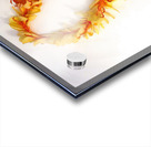 I Got Leid Acrylic print