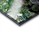 Hiking Hawaii Water Flow B Acrylic print