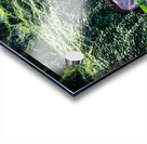 Hiking Hawaii 3 Impression Acrylique