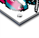 Baby Shark Ninja Himu Acrylic print