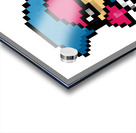 Baby Shark Ninja Miko Acrylic print