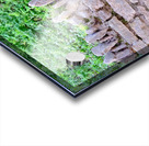 Barbed Stone Wall 2 Acrylic print