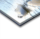 Behind Wings of Love 1A Acrylic print