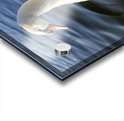 Wings of Love 1B Acrylic print