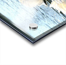 Wings of Love Pair 1A Acrylic print