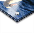 Wings of Love 1A Acrylic print