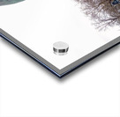 Horsehead Sculpture Acrylic print