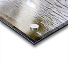 Pigeon Photobomb Impression Acrylique