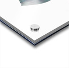 Horsehead Sculpture 2 Acrylic print