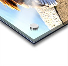 Headless Duck Impression Acrylique