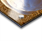 Got My Eye On You Swan Acrylic print