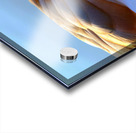 Got My Eye On You Duck Acrylic print