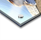 Graceful Pause Acrylic print