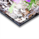 Spring’s Prelude Acrylic print