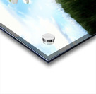 Gift to the Sky Acrylic print